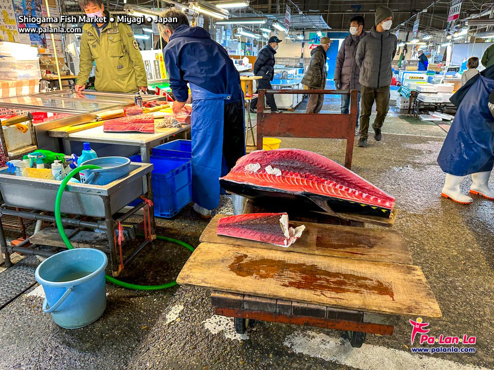Shiogama Fish Market